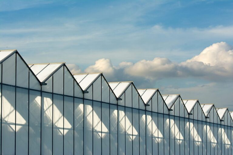 Para el empresario lagunero Hassan Mansur González son varios los factores que detonarían una mayor expansión de naves industriales para el siguiente año.