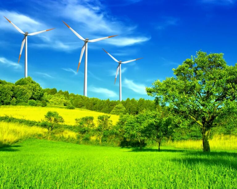 BBVA, en favor de la descarbonización de la economía