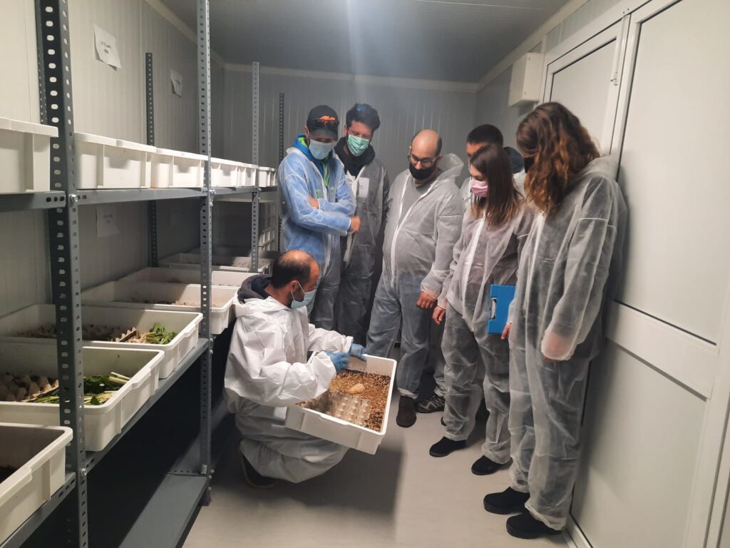 Corporativo Kosmos destaca las propiedades de la insecticultura