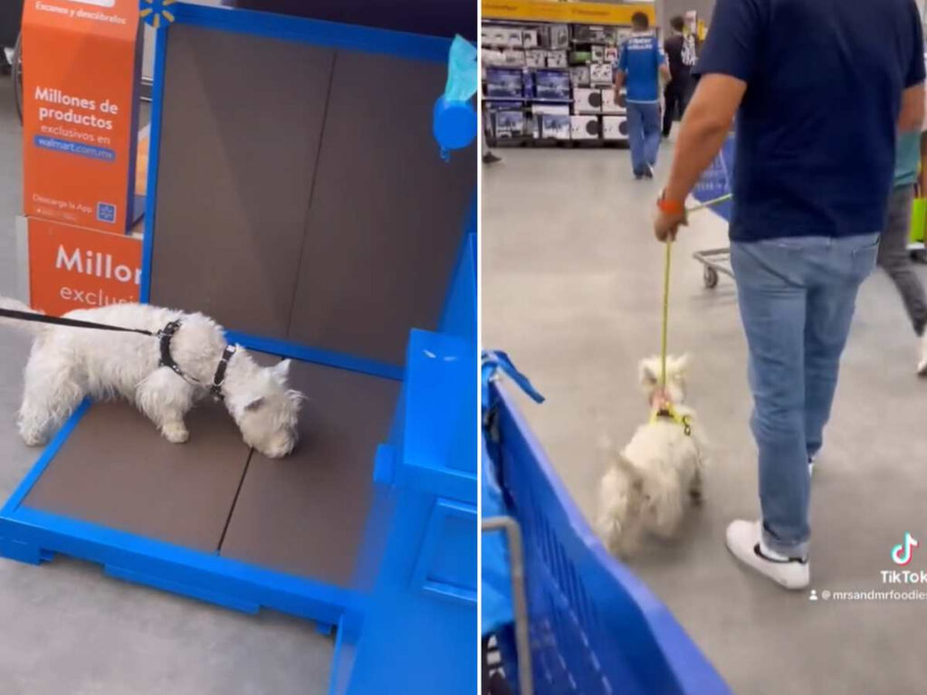 Abre Walmart sus primeras sucursales Pet-Friendly en México