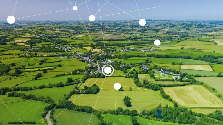 Startups reducen brecha digital en zonas agrícolas