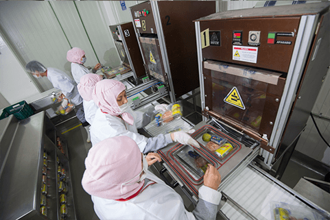 Corporativo Kosmos: Promoción y garantía del derecho a la alimentación adecuada y sostenible