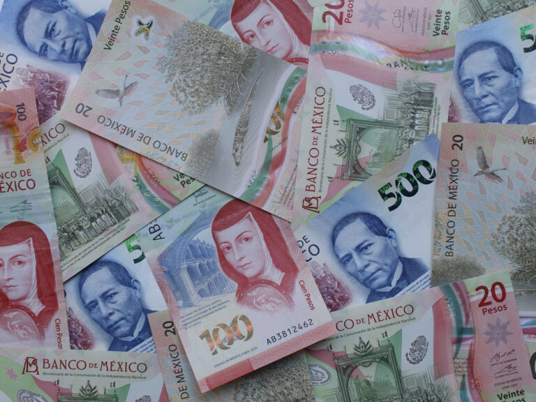 Escampa: Respuesta inmediata y trámite 100% digital