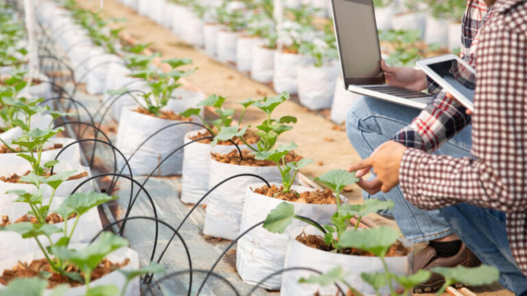 Daniel Madariaga Barrilado: MABO, MAZO y Tecnocomida, innovaciones en el sector de los alimentos