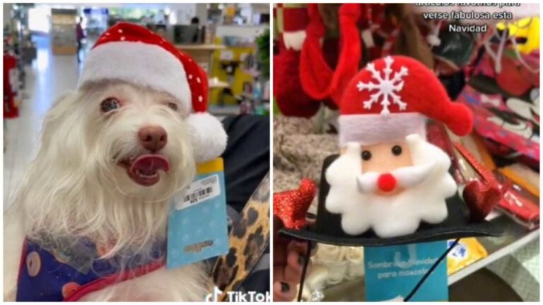 TikTok, nuevo motor de búsqueda para compras navideñas