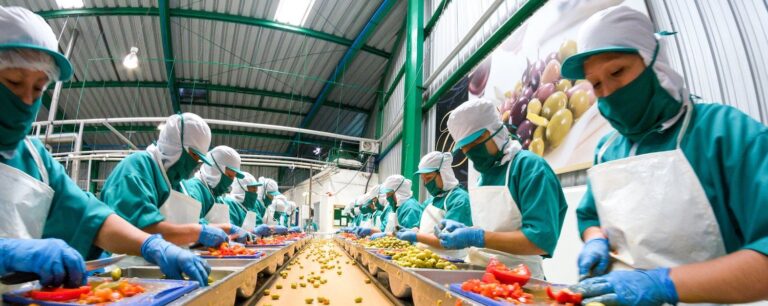 La Cosmopolitana: La industria alimentaria es un sector vital