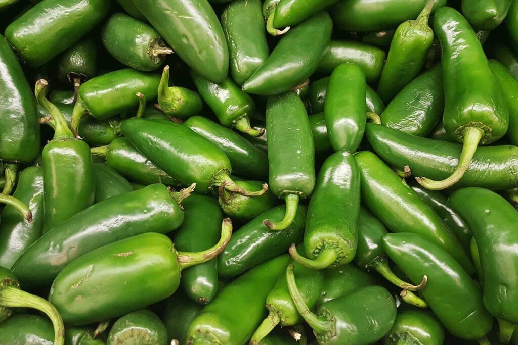 México lidera producción y exportación de chile verde