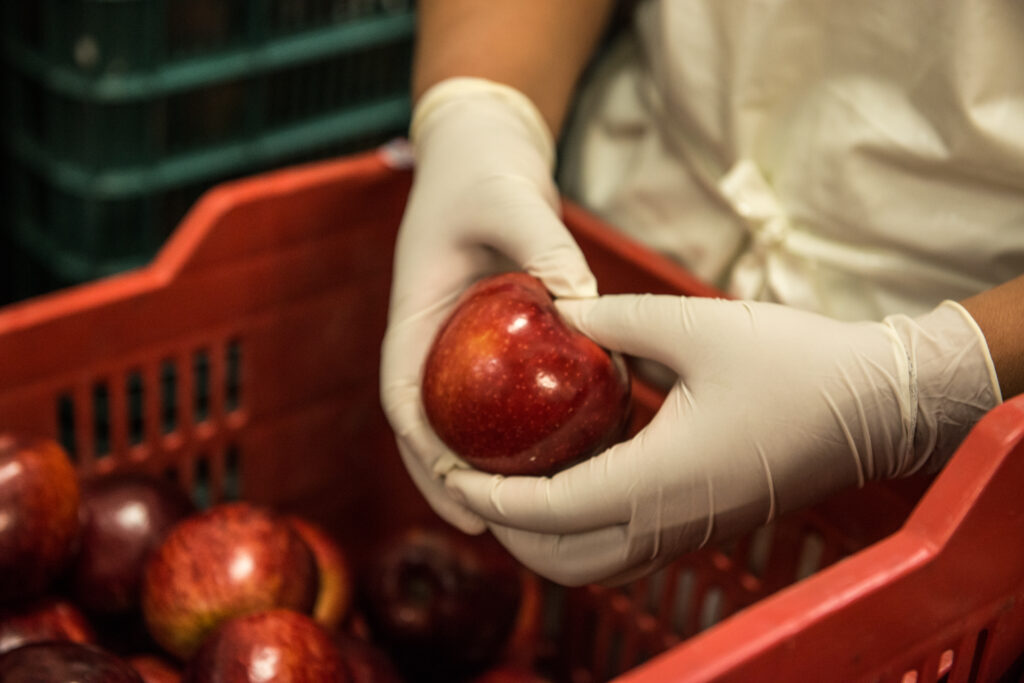 ISO 14001 impulsa sostenibilidad empresarial: Corporativo Kosmos