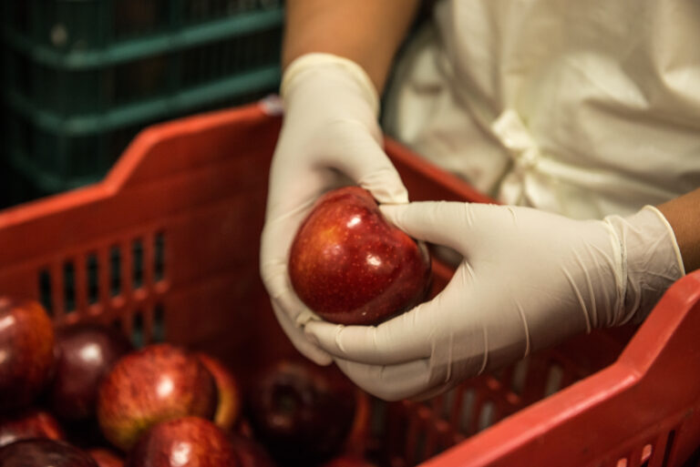 ISO 14001 impulsa sostenibilidad empresarial: Corporativo Kosmos