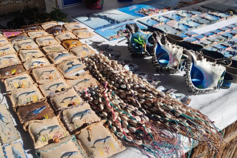 Invitan a la Expo Emprendedor 2024