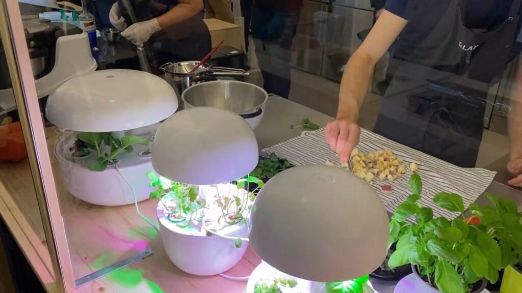 La Cosmopolitana adopta IA para combatir hambre