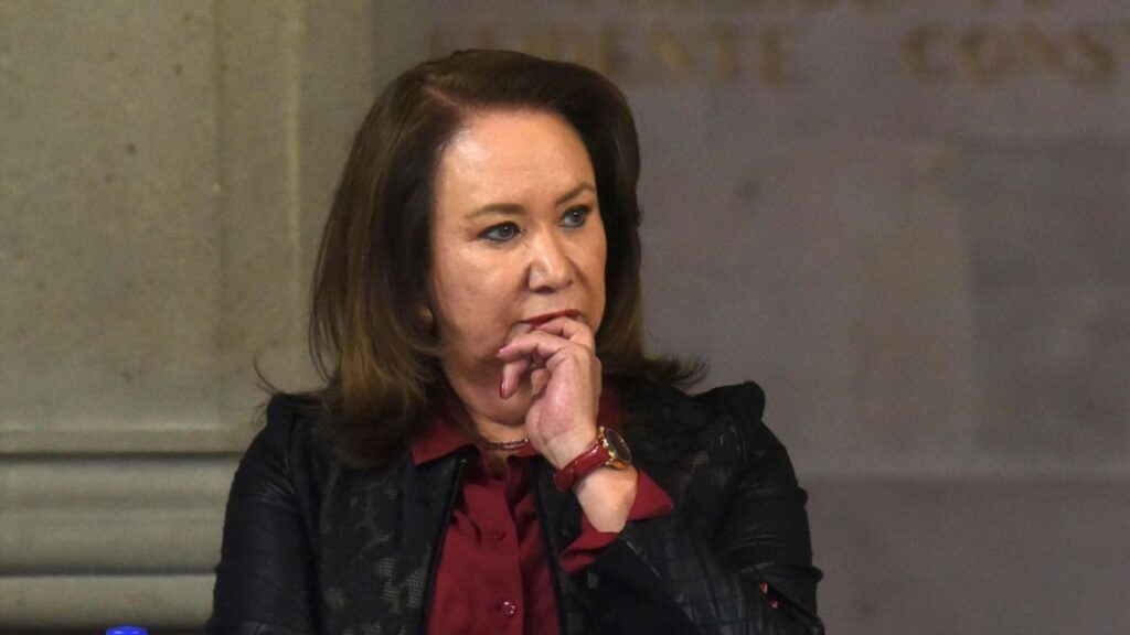 Yasmín Esquivel Mossa combate ambigüedades legales en maltrato animal