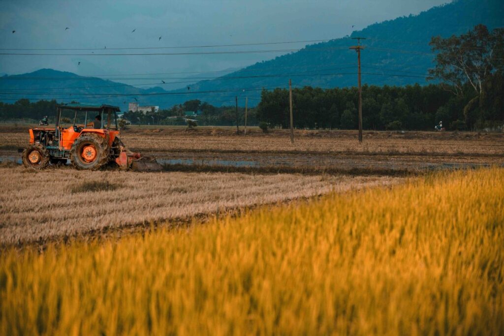 Campo argentino con granos almacenados y gráfica que simboliza la caída en la liquidación de divisas