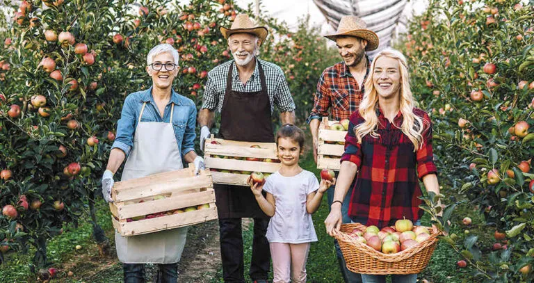 Empresarios de diferentes generaciones colaborando y planificando estrategias para la sucesión del negocio familiar con enfoque estratégico