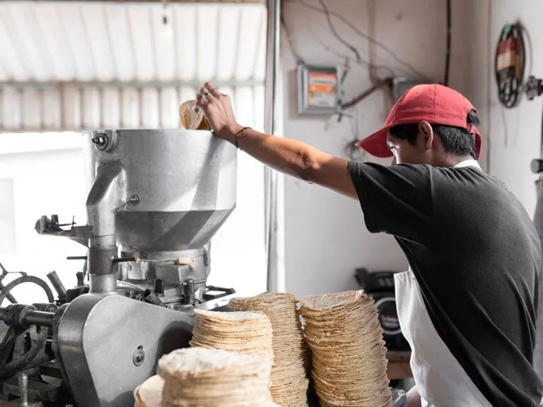 Tortillería tradicional y producción industrial representando la industria de la tortilla en México y su expansión global