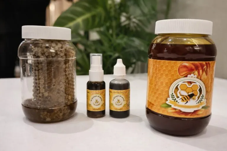 Proyectos de emprendimiento colectivo en Hidalgo fortalecidos con inversión pública para generar empleos locales sostenibles