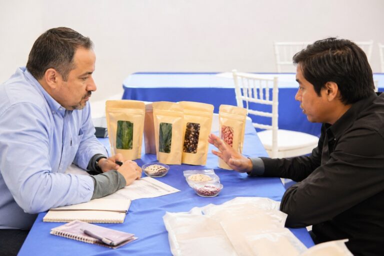 Empresas en Guanajuato colaboran en cadena de valor DIF impulsando economía regional y desarrollo social sostenible