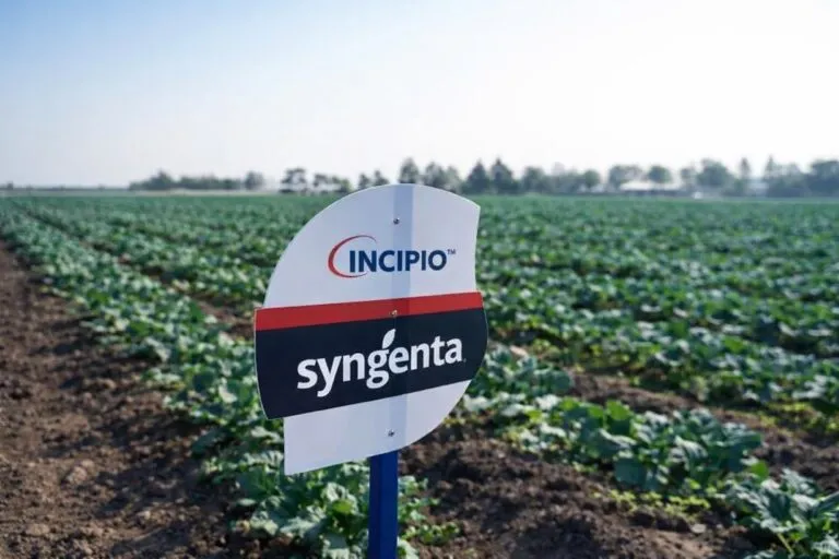 Innovación agrícola en México con tecnología de Syngenta para mejorar productividad del campo