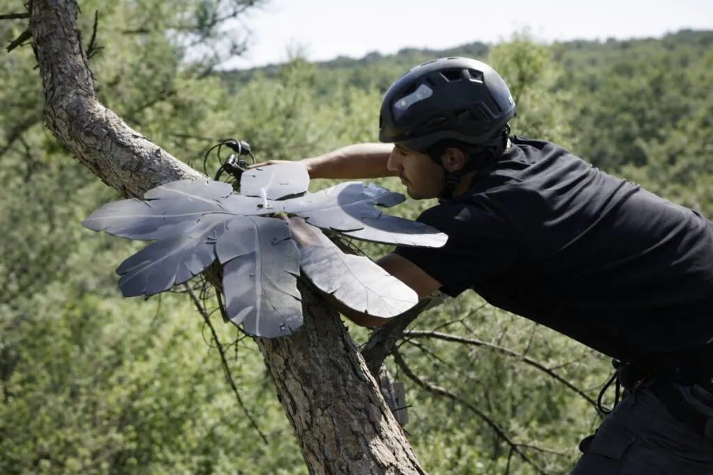 Tecnología con micrófonos en árboles detecta tala ilegal en Brasil en tiempo real en la Amazonía