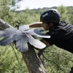 Tecnología con micrófonos en árboles detecta tala ilegal en Brasil en tiempo real en la Amazonía