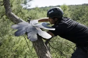 Tecnología con micrófonos en árboles detecta tala ilegal en Brasil en tiempo real en la Amazonía