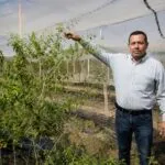 Investigadores de la UAS desarrollan innovación genética para fortalecer el cultivo de chiltepín en Sinaloa