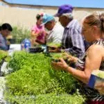 Financiamiento agroindustrial para fortalecer proyectos y agronegocios en Chihuahua