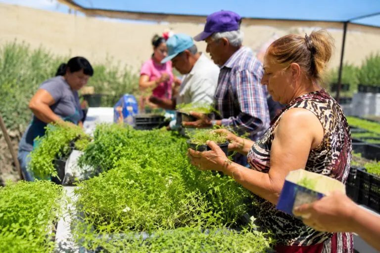 Financiamiento agroindustrial para fortalecer proyectos y agronegocios en Chihuahua
