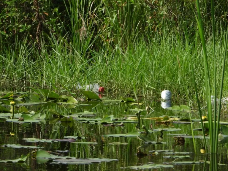 Protección ambiental en empresas mexicanas frente al costo creciente del deterioro ecológico