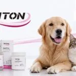Triton Vet impulsa innovación veterinaria con más de 50 soluciones y presencia en 13 países