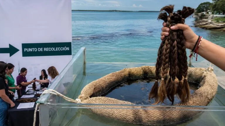 Voluntarios elaboran barreras con cabello para limpiar el mar y reducir la contaminación por hidrocarburos en México.