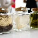 Residuos de agave convertidos en fibras textiles sostenibles mediante un proceso biotecnológico en México.