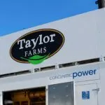 Suspensión de operaciones de Taylor Farms en Guanajuato durante revisiones sanitarias con pruebas negativas de inocuidad.