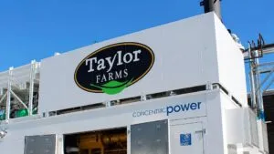 Suspensión de operaciones de Taylor Farms en Guanajuato durante revisiones sanitarias con pruebas negativas de inocuidad.