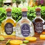 Botella de tequila elaborada con agave azul que representa la economía de México y el Día Nacional del Tequila.