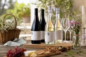 Vino colaborativo de Mujeres in Taninos creado por especialistas mexicanas para impulsar innovación y liderazgo femenino.