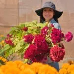 Agricultura sustentable impulsa el cultivo universitario de cempasúchil y la formación de estudiantes en Sonora.