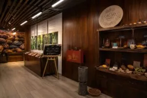 Cacao y tecnología se unen en Tabasco mediante experiencias inmersivas para preservar la historia y cultura del chocolate