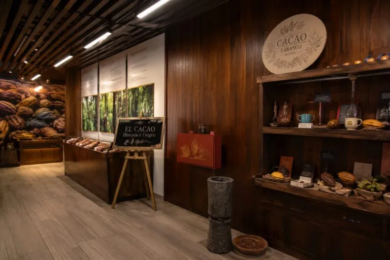 Cacao y tecnología se unen en Tabasco mediante experiencias inmersivas para preservar la historia y cultura del chocolate