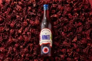 Novato presenta aperitivos con sabores de México que combinan tradición, innovación e identidad.
