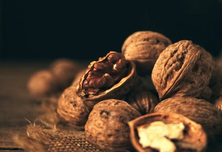 Nueces pecanas mexicanas representadas frente al mercado chino y nuevas barreras comerciales.