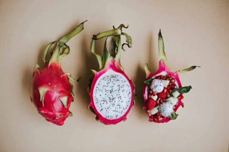 Pitahaya mexicana durante su cosecha para exportación con mayor demanda e innovación en producción.