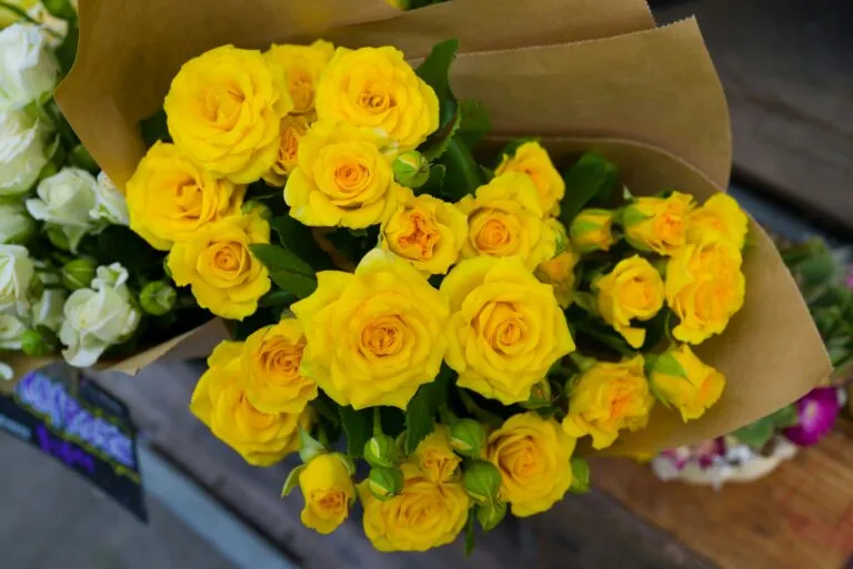 Flores amarillas impulsan las ventas de florerías en México durante septiembre mediante una tendencia comercial difundida en redes sociales.