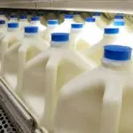Industria láctea aumenta la proteína de la leche ante nuevas tendencias de consumo
