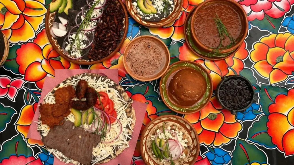 Gastronomía mexicana llega al escenario internacional con jóvenes chefs que combinan talento, tradición e innovación culinaria.