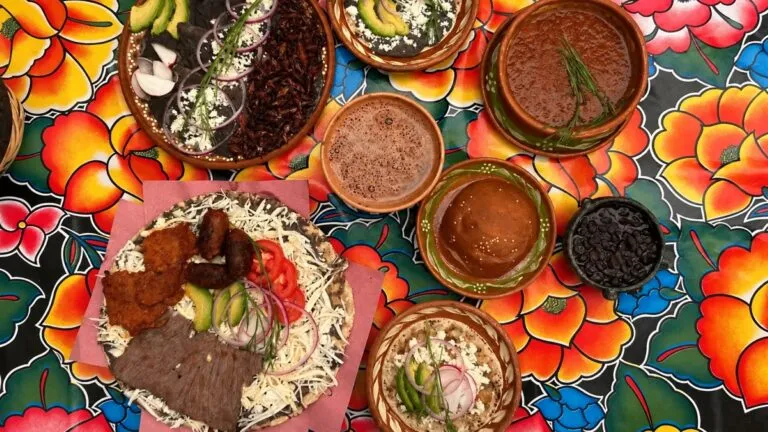 Gastronomía mexicana llega al escenario internacional con jóvenes chefs que combinan talento, tradición e innovación culinaria.