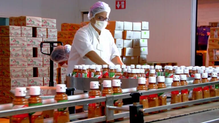 Nueva planta de Tajín en Jalisco incorporará tecnología de vapor para mejorar el procesamiento y sanitización de chile.Nueva planta de Tajín en Jalisco incorporará tecnología de vapor para mejorar el procesamiento y sanitización de chile.
