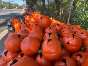 Calabazas decorativas de barro exhibidas en un taller artesanal de San Juan del Río durante la temporada de Halloween.