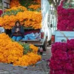 Puesto de mercado con flores de cempasúchil y diferentes variedades para la celebración del Día de Muertos.