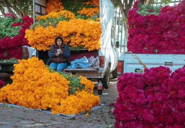 Puesto de mercado con flores de cempasúchil y diferentes variedades para la celebración del Día de Muertos.